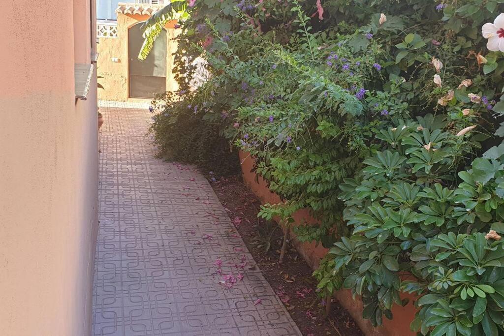 Casa Hurtado De Mendoza Pequena 阿尔姆尼卡 外观 照片